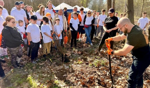 Światowy Dzień Ziemi: wolontariusze KGHM zasadzili kolejne tysiące drzew przy Hucie Miedzi Głogów