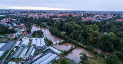 Jawor w objęciach Nysy Szalonej (FOTO)