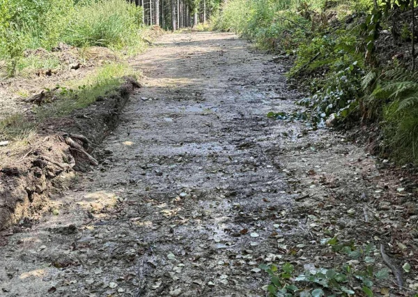 Porozumienie z Nadleśnictwem Jawor i Zakończenie Szlaków w Chełmcu! 