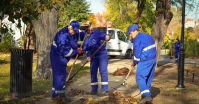 Jesienne porządki w mieście i na działkach