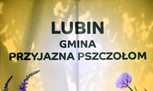 Zapraszamy na Święto Lipy, Pszczół i Ziół w Gorzelinie 