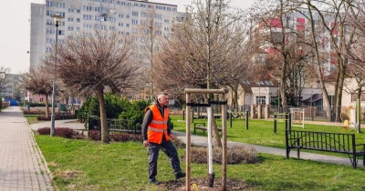 Pozimowe przeglądy w gminie 