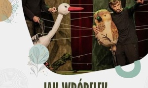 Jak Wróbelek nie mógł zdążyć na wesele