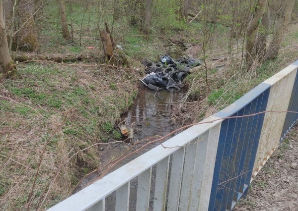 Wstrętny śmieciarz w oku „Wielkiego Brata”