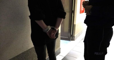 Zamiast kota, w transporterze miała narkotyki