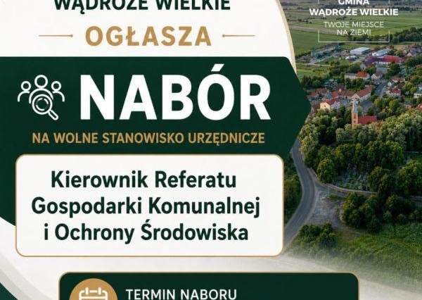 Praca szuka człowieka w Wądrożu Wielkim