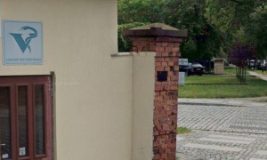 Nagły wypadek ze zwierzęciem w nocy? W Głogowie pomoc może być niedostępna