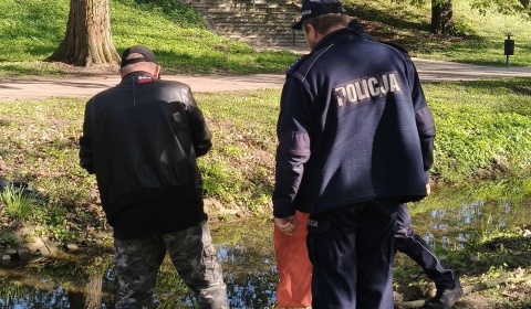 Ognisko na jezdni w Głogowie. Nocne problemy budzą niepokój