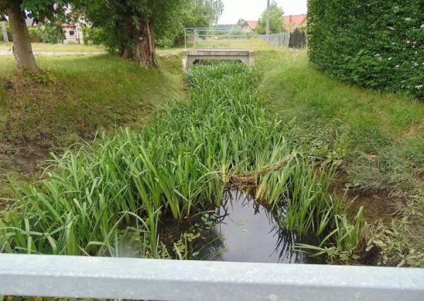 Gmina ponownie oczyści Kalinę 