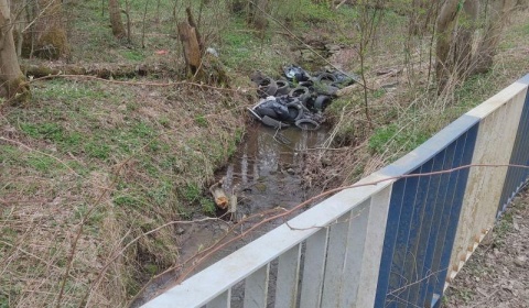 Wstrętny śmieciarz w oku „Wielkiego Brata”