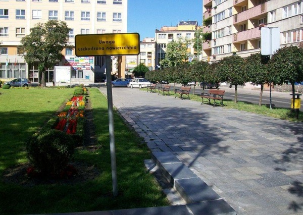 Deptak w centrum Legnicy potrzebuje zmian. Radni chcą uporządkować zieleń