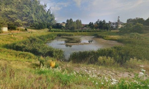 Lampa zaczęła świecić, ale dopiero po kolejnej interwencji