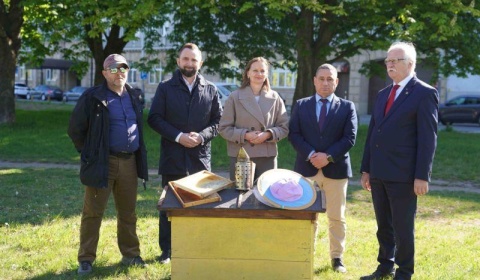 Pszczoły pod ochroną regionu. Kolejne wsparcie dla pszczelarzy
