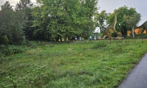 Rysie wkrótce w ZOO Lubin