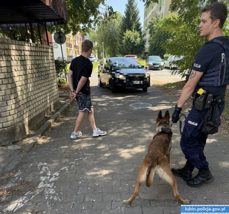 Na "Rampę" nie ma mocnych. Wytropi każdego łamiącego prawo...