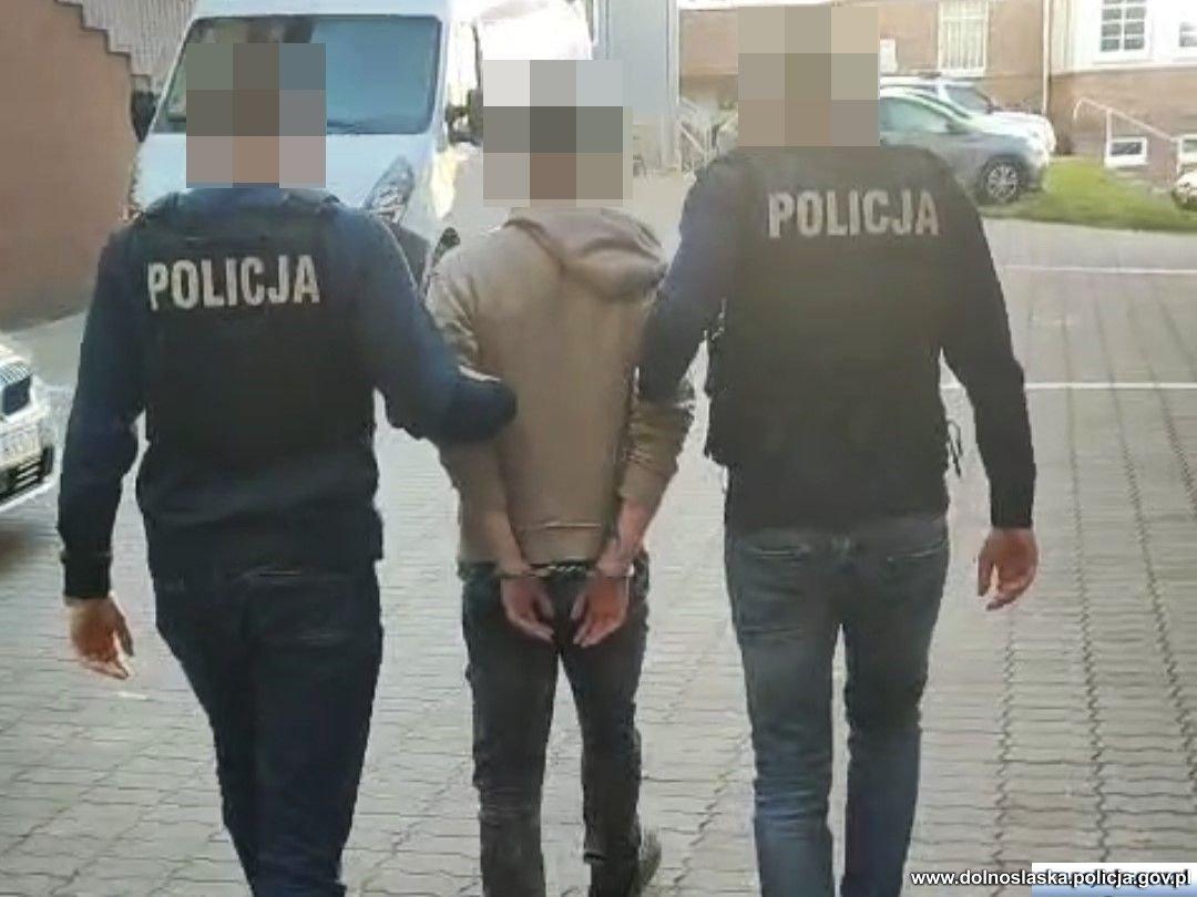 24-latek z Legnicy znęcał się nad psem – został zatrzymany