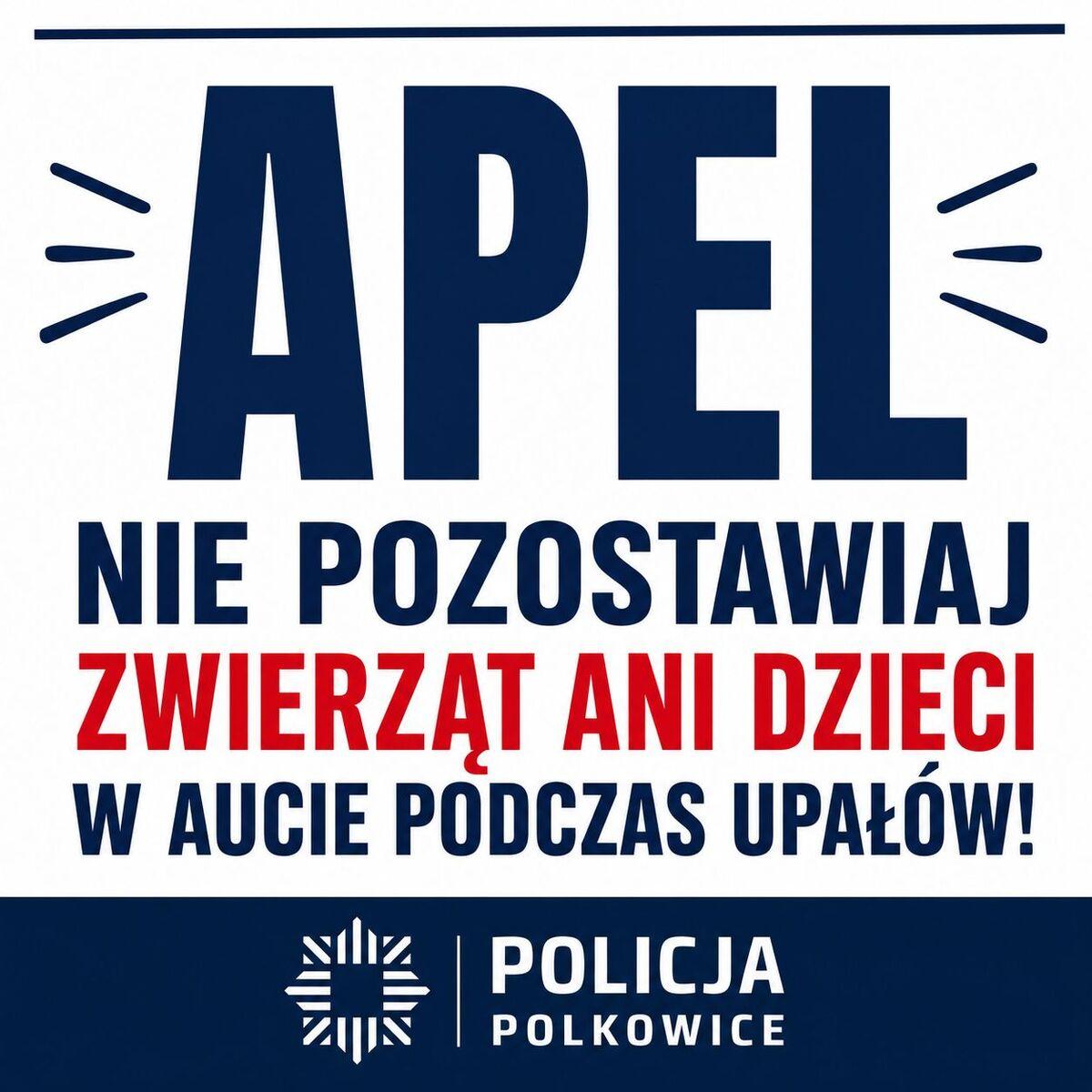   Pies spędził kilkadziesiąt minut w rozgrzanym aucie - niestety nie przeżył