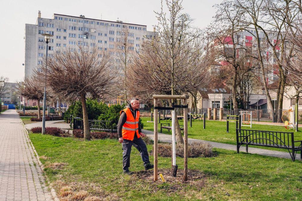 Pozimowe przeglądy w gminie 