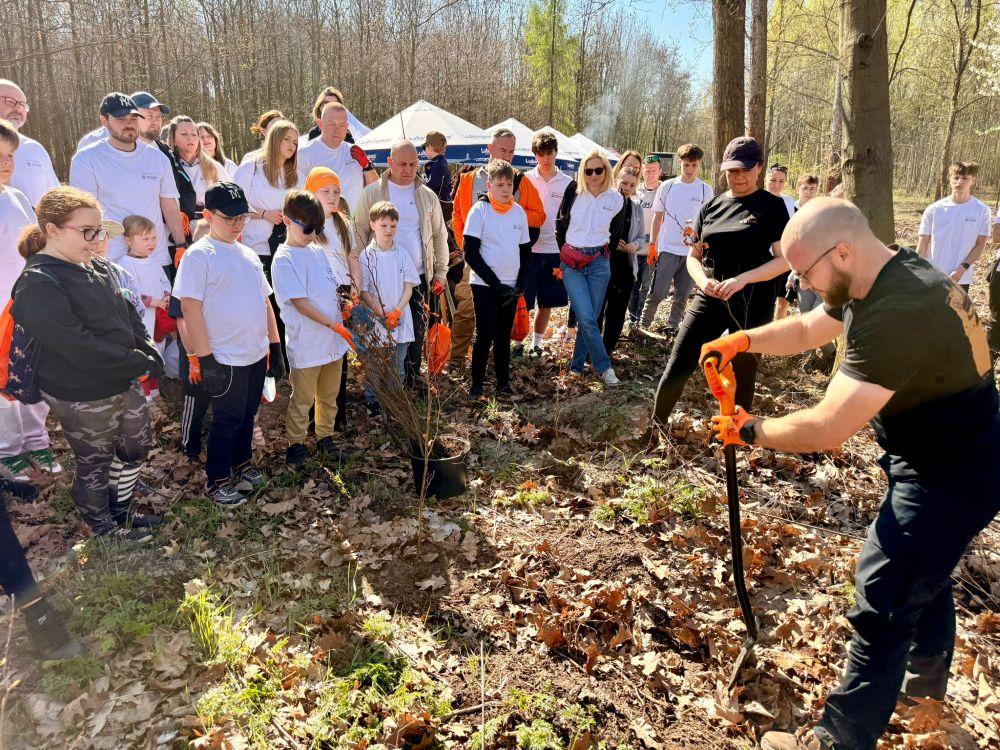 Światowy Dzień Ziemi: wolontariusze KGHM zasadzili kolejne tysiące drzew przy Hucie Miedzi ...