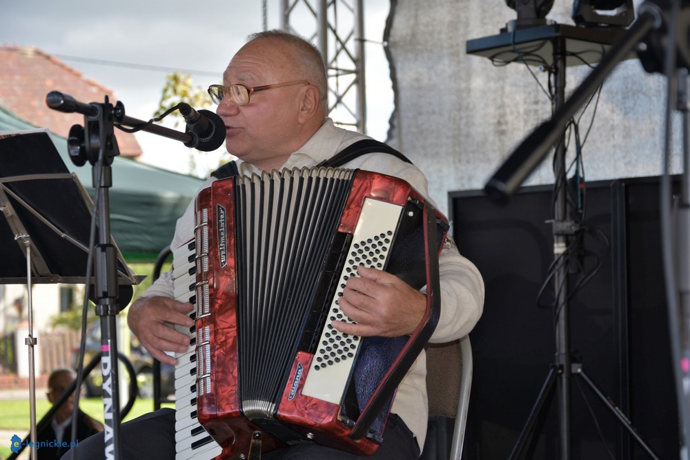 Święto muzyki akordeonowej w Prochowicach (FOTO)
