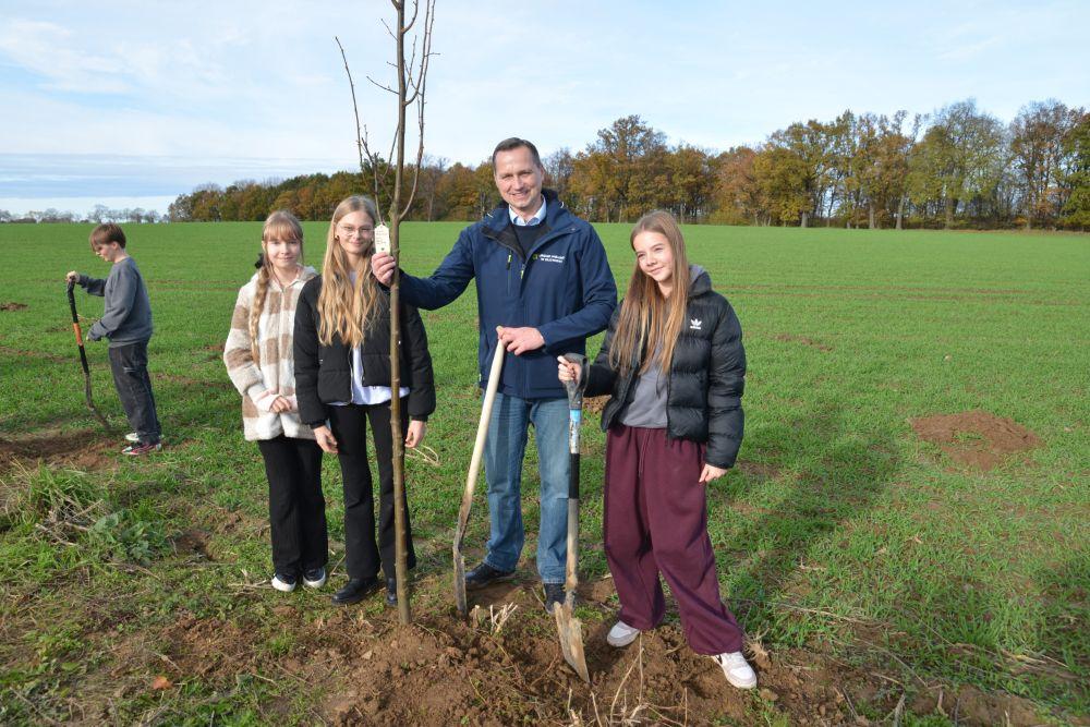  Lipy z imionami znalazły swoje miejsce w Złotoryi 