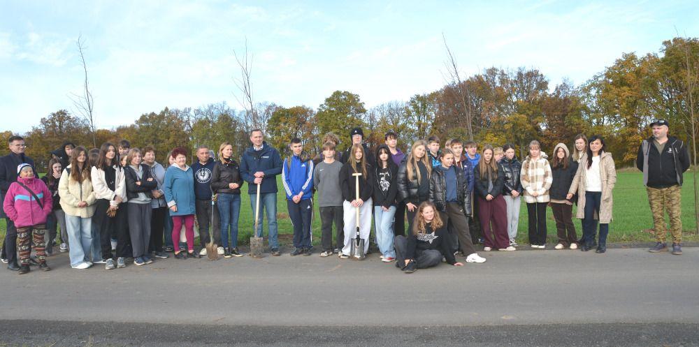  Lipy z imionami znalazły swoje miejsce w Złotoryi 