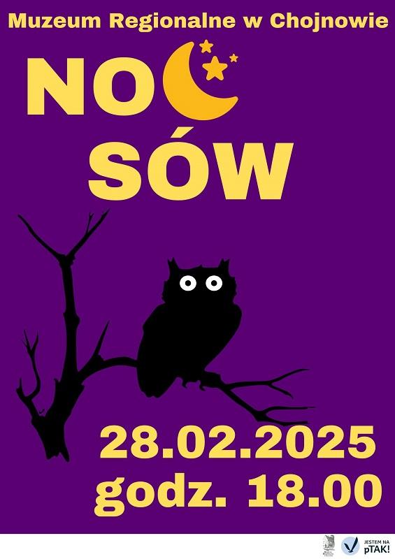 Noc sów w Chojnowie