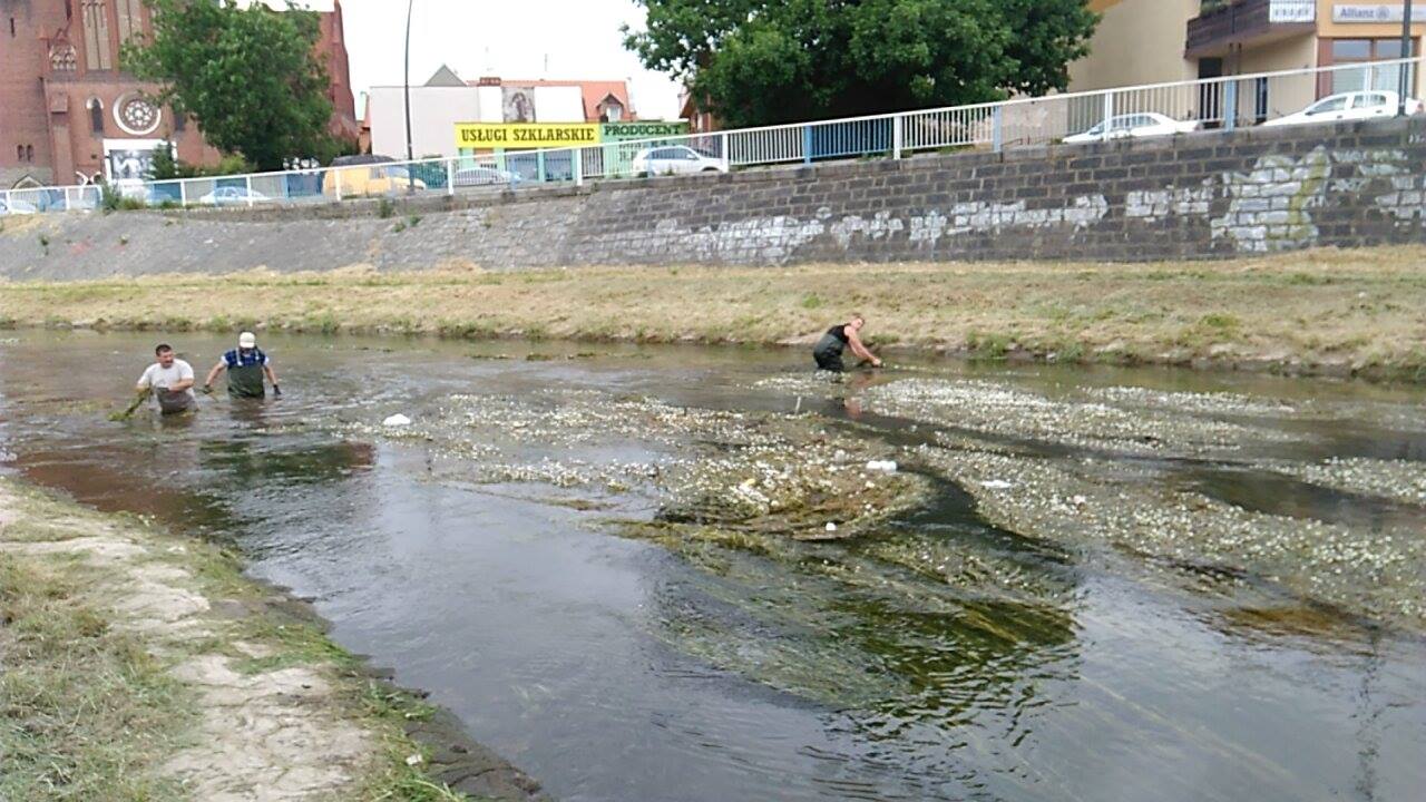 Podróż marzeń czyli prace ręczne OSiR-u