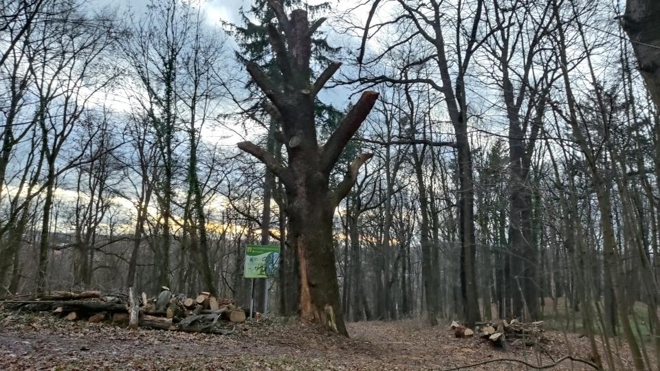 Martwy od lat. Teraz będzie świadkiem historii