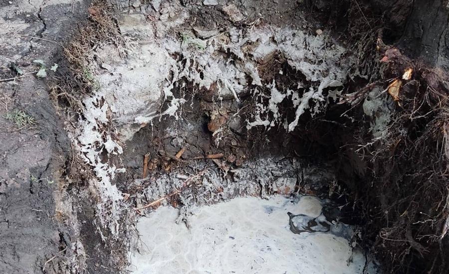 Odkryto zbiorową mogiłę