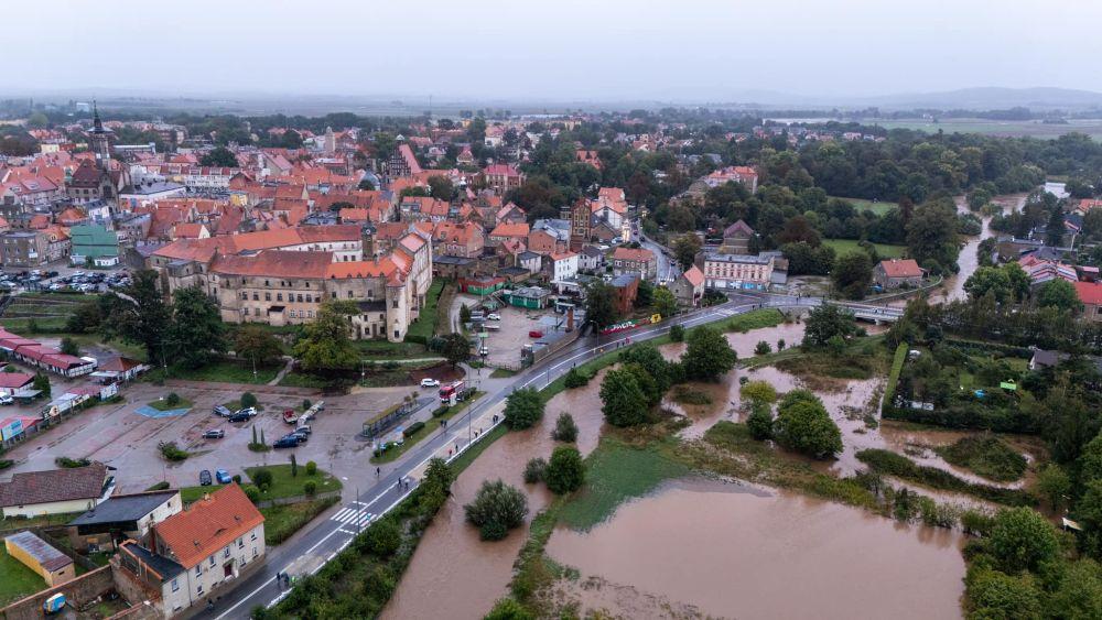 Jawor w objęciach Nysy Szalonej (FOTO)