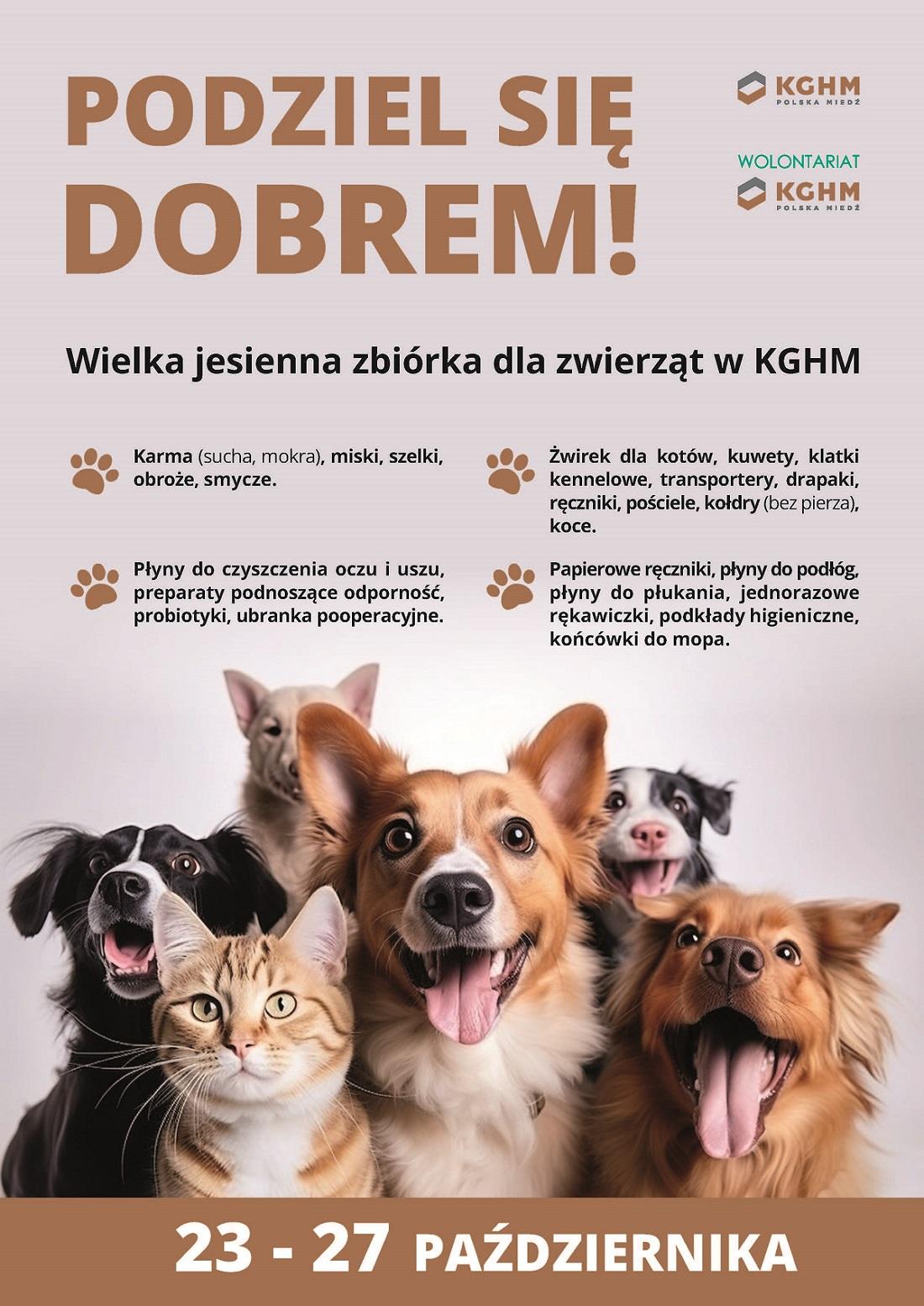 Podzielą się dobrem. Dwie akcje wolontariackie KGHM w Zagłębiu Miedziowym