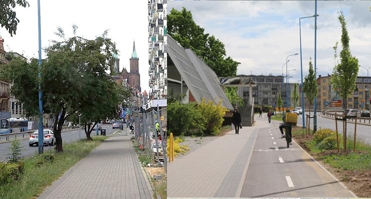 Nowa ścieżka rowerowa kosztem starych drzew. Mieszkańcy oburzeni decyzją miasta