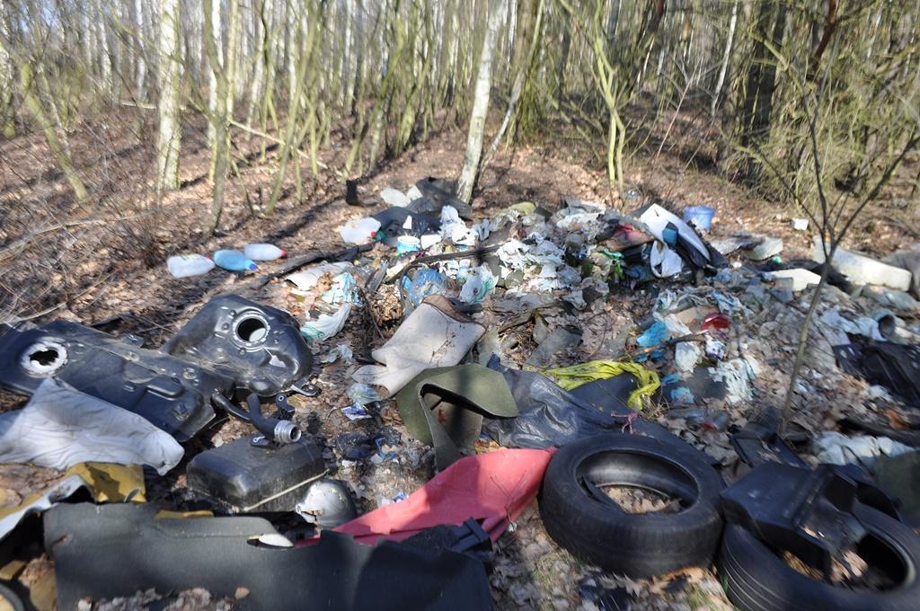 Brudasy zaśmiecają las przy rowerowej autostradzie