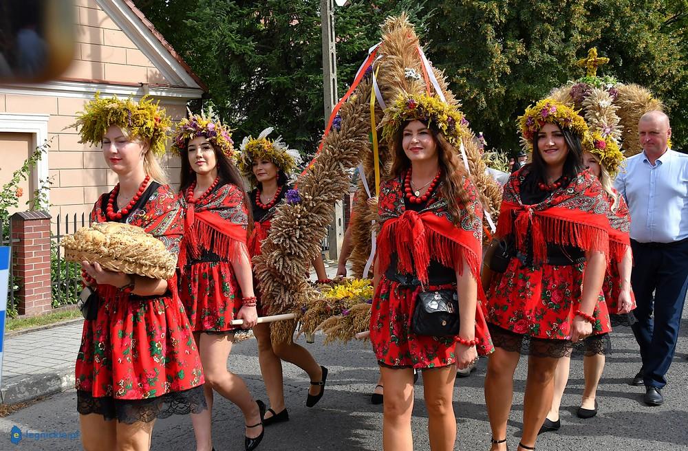  Święto Plonów gminy Legnickie Pole (FOTO)