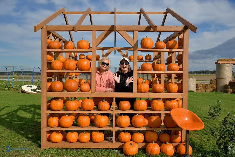Farma Dyń pełna pasji i jesiennej magii (FOTO)