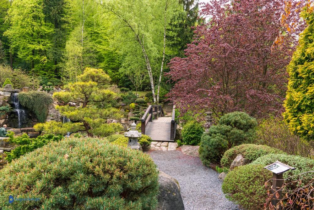 Mała Japonia - orientalna perełka Karkonoszy (FOTO)