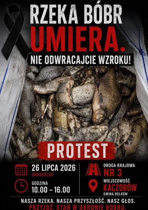 Protest w Kaczorowie. Kierowcy utkną na DK5. Chodzi o katastrofę na Bobrze