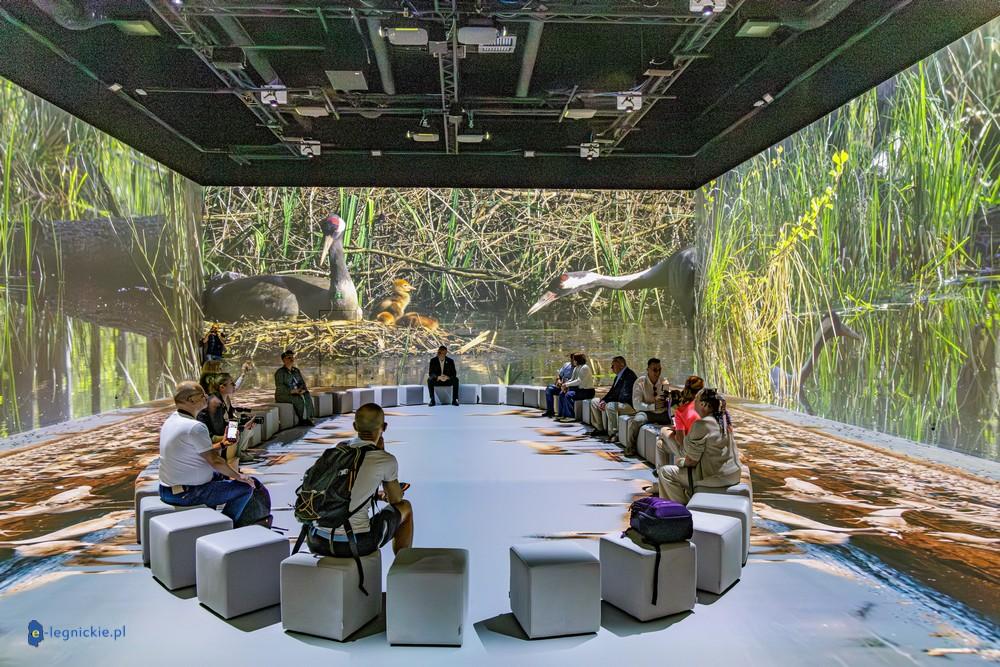 Kino 5D, Flying Theater i karuzela 360*. Byliśmy w Querionie przed otwarciem (FOTO)