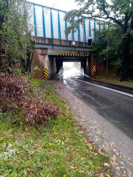 Mieszkańcy chcą chodnika. Burmistrz jest ZA