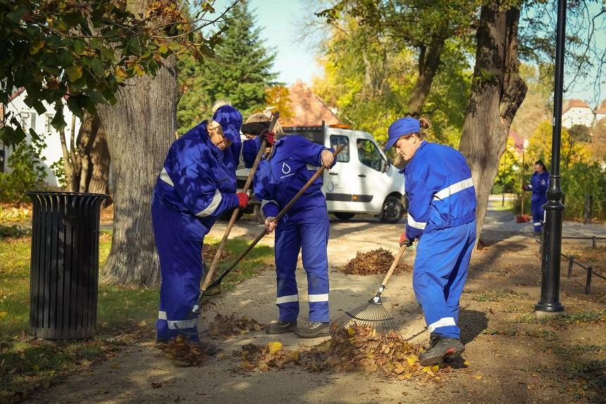 Jesienne porządki w mieście i na działkach