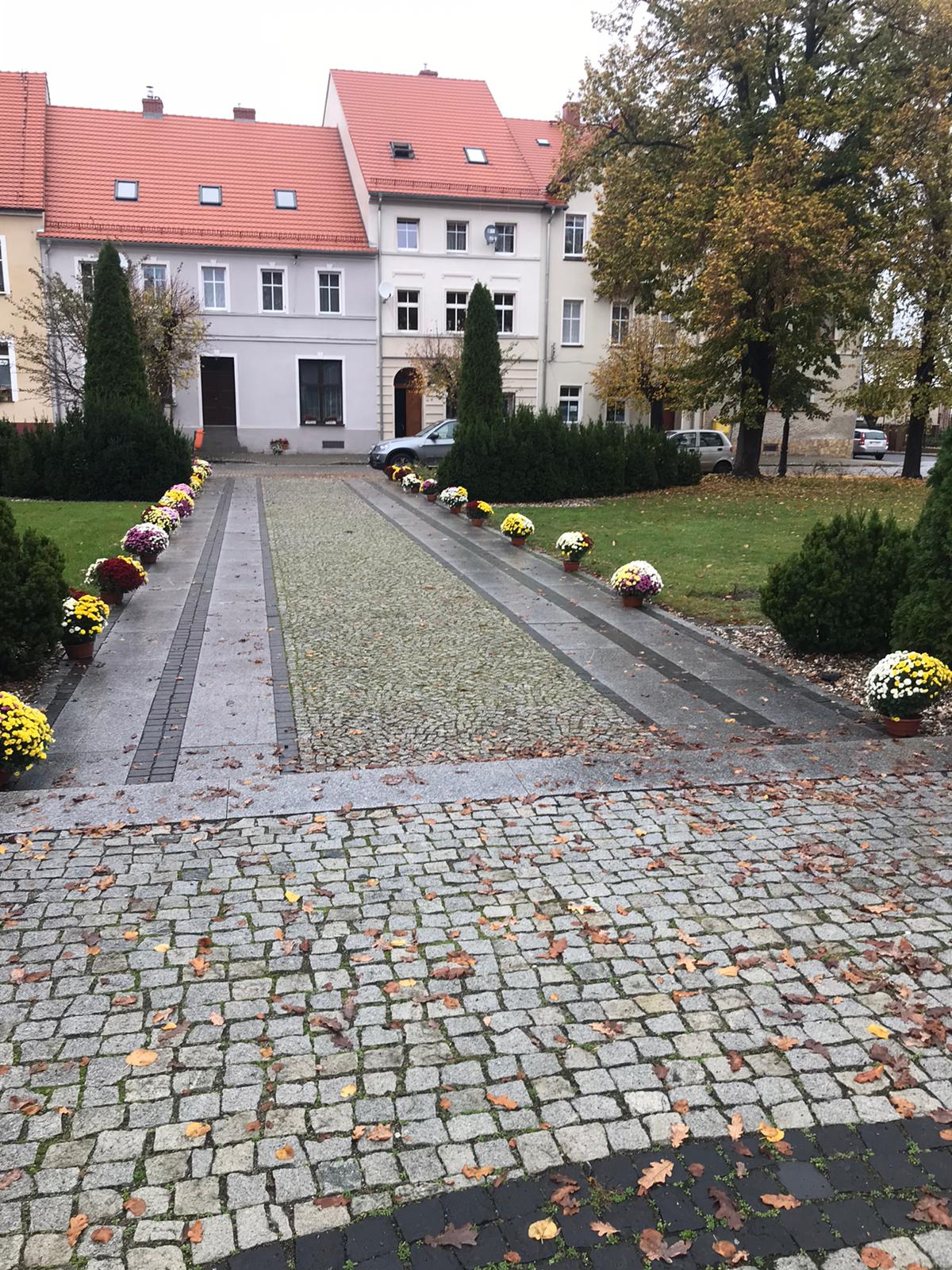 Gmina odkupiła kwiaty od przedsiębiorców. I już są zasadzone!