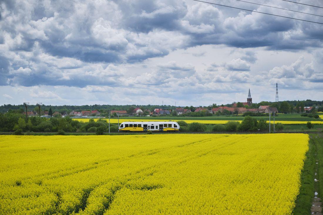 Czerwcowy długi weekend z Kolejami Dolnośląskimi. Jeden bilet, setki pomysłów na wyjazd