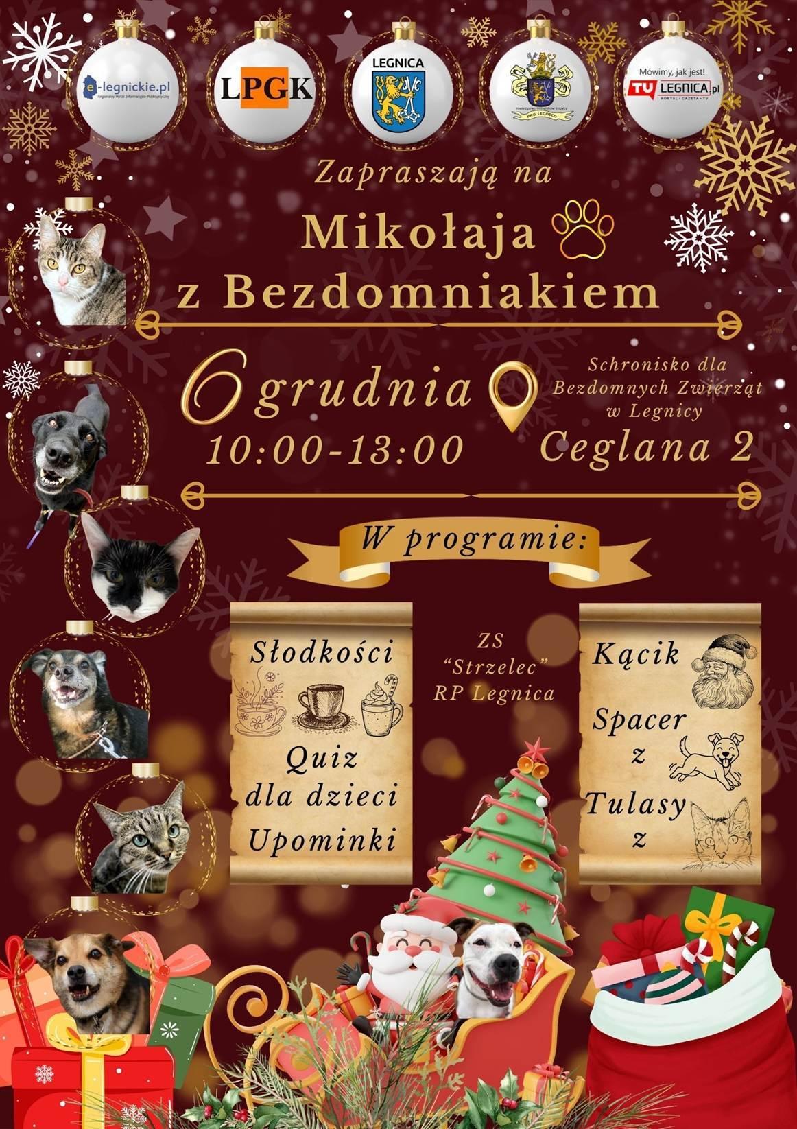 Mikołajki w Schronisku dla Bezdomnych Zwierząt