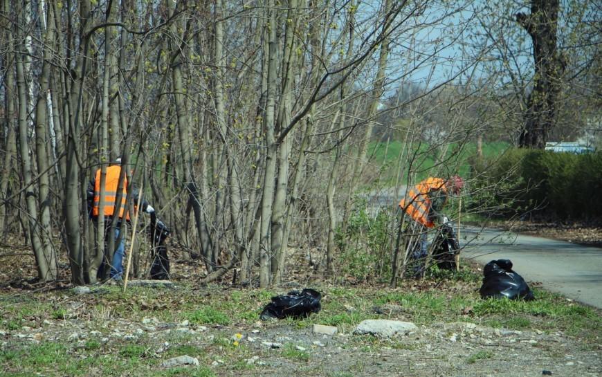 Bezrobotni sprzątają miasto