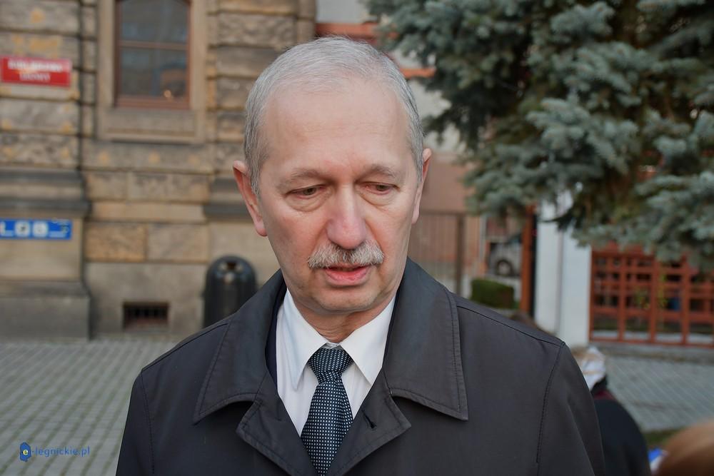 Uschnięte drzewa do wycinki? Najpierw sprawdzą, czy nie ma na nich pisklaków