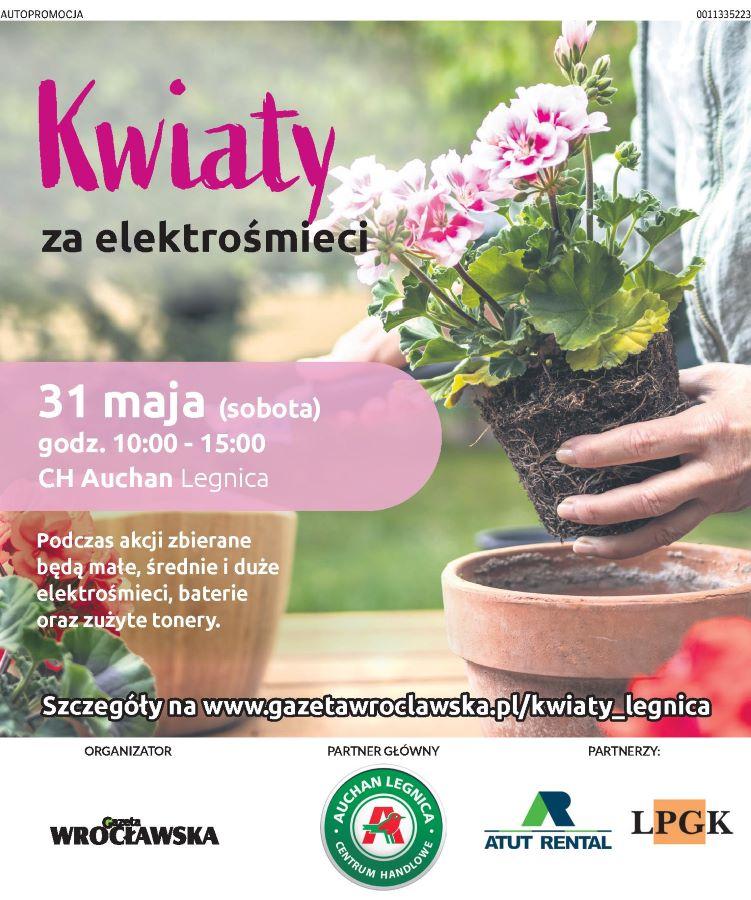 LPGK i Gazeta Wrocławska na rzecz Zielonej Legnicy. Wymień elektrośmieci na kwiaty