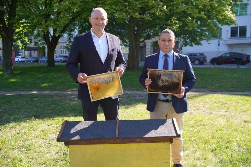 Pszczoły pod ochroną regionu. Kolejne wsparcie dla pszczelarzy