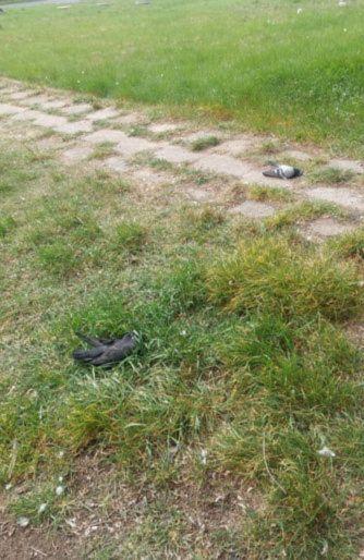 Martwe ptaki w centrum miasta! Mieszkańcy zaniepokojeni