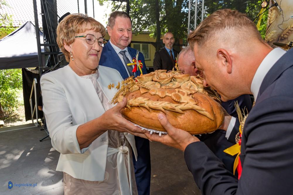 Gminno-Powiatowe Święto Plonów w Pielgrzymce (FOTO)